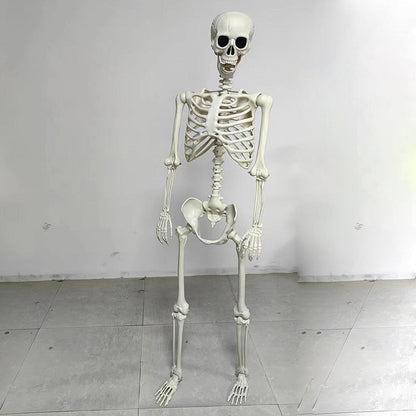 Halloween-Skelett | Bewegliche Gelenke | 5 Modelle | Deko-Skelett 165 cm-Chaps Herrenmode