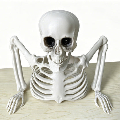 Halloween-Skelett | Bewegliche Gelenke | 5 Modelle | Deko-Halbes Skelett 64 cm-Chaps Herrenmode