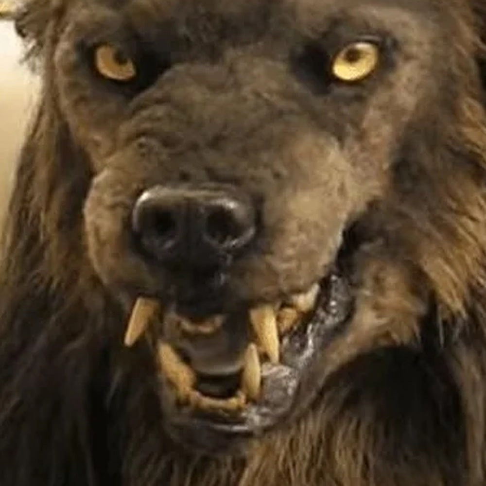 Werwolf Maske | Latex | Vollkopf | Fell | Reißzähne