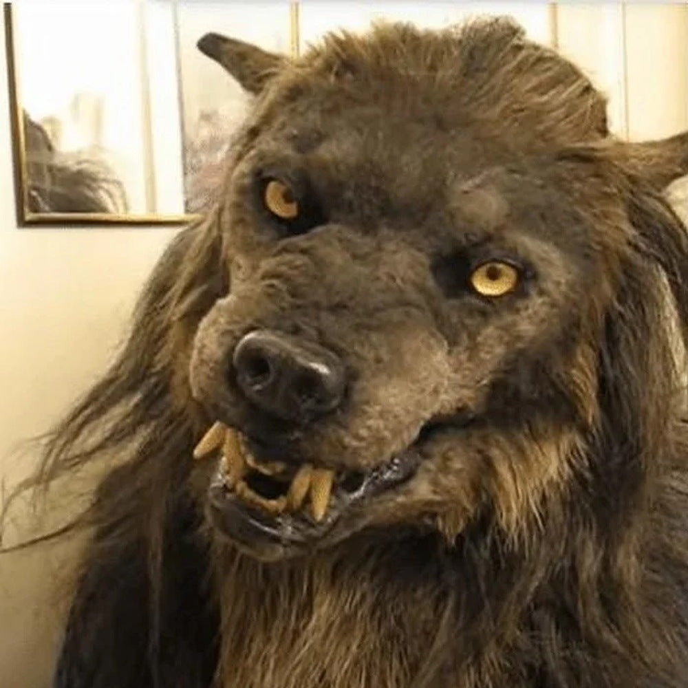 Werwolf Maske | Latex | Vollkopf | Fell | Reißzähne