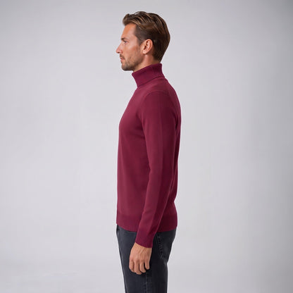 Rollkragenpullover Herren | Feinstrick | Gerippter Kragen | Gerader Schnitt